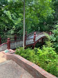 although it was sweltering hot, the campus looked stunning #yunxiaoyu #williamandmary #uni #university #campustour #collegetour #campus #virginia #vacation #beautiful #aesthetic