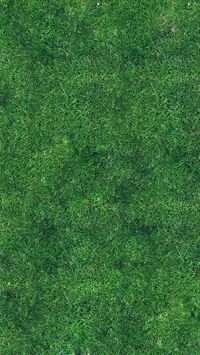 iPhone6papers.co-Apple-iPhone-6-iphone6-plus-wallpaper-vg56-grass-texture-nature-pattern