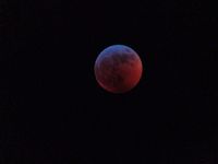 Eclipsed #moon in totality. #supeebloodwolfmoon