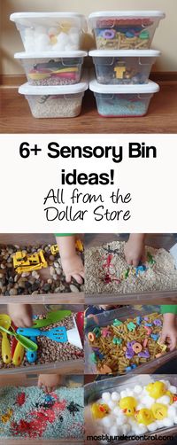 6+ Sensory Bins for under $30 from the Dollar Store – with tons of other ideas!