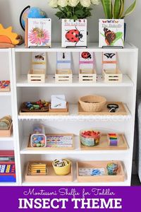 Insect Themed Learning Trays for Toddlers