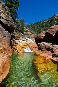 Little Backbone Creek, Whiskeytown–Shasta–Trinity National Recreation Area, near Redding, California by Ron Kroetz