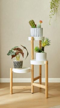 Let the Linspire Grow plant stand help you create the ultimate indoor green oasis. The sturdy carbon steel trays, coupled with bamboo legs, are stylish and versatile - adding a sense of tranquility to your life. With its small footprint, put this plant stand anywhere whether it is a living room, study or bedroom! #plants #dreamhome #homedecor #interiordesign