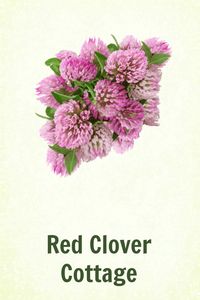 Red Clover