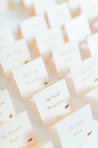 Summit Country Day Wedding by Megan Noll Photography | International Wedding Photographer and Educator for Creative Entrepreneurs specializing in film and digital photography | based in Ohio available worldwide.   film photographer, bridal photography, fine art wedding, engagement photographer, hybrid photographer, weddingstationary, modernstationary, wedding invites, minimal wedding stationary, bridal stationary #weddingstationary #romanticstationary #bridalcalligraphy