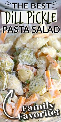 Calling all dill pickle lovers, this salad recipe is for you! This creamy DILL PICKLE PASTA SALAD has the tangy flavour of crunchy pickles, fresh dill, cheese, mayo and sour cream. It's the perfect Dill Pickle Pasta Salad is the perfect side for any BBQ or summer meal. #pastasalad #dillpickle #dillpicklepastasalad #saladrecipe #pastasaladrecipe #easysalad