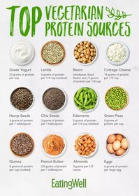 Top Vegetarian Protein Sources