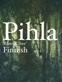 Pihla {Pee-hla} ❀ Pihla is a name of Finnish origin Meaning ‘Rowan Tree’ #names #nameinspo