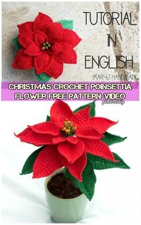 15+ Crochet Poinsettia Christmas Flower Ideas 2022