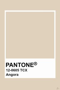 Pantone Angora