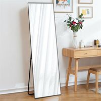 Andover Mills Maurer Alloy Full Length Mirror & Reviews | Wayfair