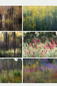 A creative technique when you are out shooting any type of landscape scene is to capture it abstractly. Intentional camera movement ( ICM) is easy to produce and can give you a different perspective of the location you were shooting. I also like to save these to use as textures with other images. Here are my tips for capturing great abstract landscape images. #icmphotography #photography #naturephotography