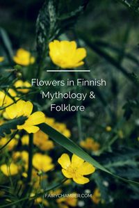 Flower magic and superstitions in Finnish folklore | by Niina's Fairychamber | Medium