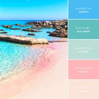 Build Your Brand: 20 Unique and Memorable Color Palettes to Inspire You – Design School