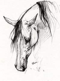 Horse drawing