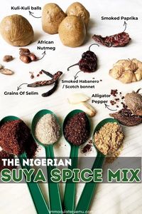 Learn about Nigerian Suya spice and how to make the aromatic and flavourful spice mix from scratch, with a breakdown of the ingredients.