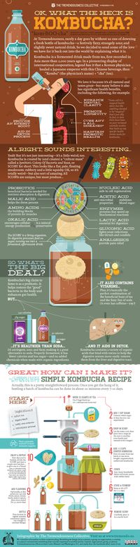 An eyebrow raises skeptically...  "What. Are. You. Drinking?"  Kombucha!  It's fizzy and a bit sour, but I find it very tasty. And we made this infographic to help you learn more about it.  ...