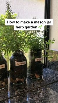 🌿🏺 Create a charming herb garden with mason jars! Plant your favorite herbs, add sunlight, and watch them thrive on your windowsill. Fresh flavors at your fingertips! Video by eHow