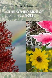 There is more to the state of Illinois than just the Windy City. Chicago is, by far, the best known attraction in this Midwestern state. But out side of the city there is nature too, and lots of it. [ Rural Illinois | Illinois Countryside | Travel Illinois | Experience Illinois | Escape the City | #enjoyillinois | #travelillinois ]