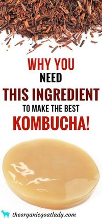 Kombucha, Kombucha Flavors, Kombucha Tea, Best Tasting Kombucha!