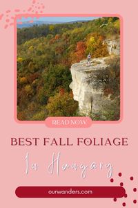 While the sunshine is not guaranteed, beautiful fall foliage is - in the forests of Hungary in October. In this post we show you the best places where we enjoyed Hungary’s fall foliage in the past decade.