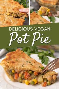 No chicken needed for a tasty Vegan Pot Pie Recipe! This vegan pot pie has a super creamy filling loaded with vegetables and chickpeas. Plus, the homemade pie crust is absolutely heavenly.