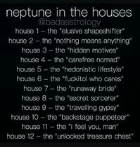 Neptune in the houses