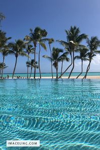 Just one of many amazing pools at Secrets Cap Cana