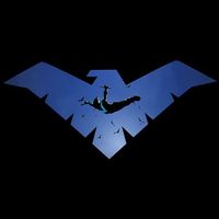 Nightwing *