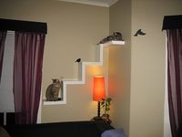 Ikea Lack Shelf made into cat furniture ...so cool!