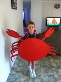 Crab fancy dress