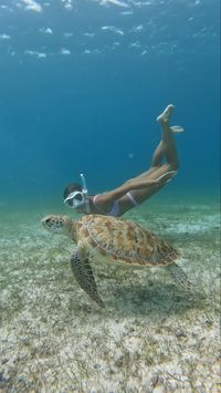 Swimming with sea turtle on tropical vacation