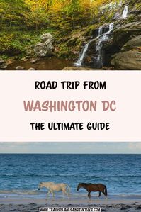 Discover how to plan the perfect road trip from Washington DC. Road trip through Maryland, Pennsylvania, West Virginia, and Virginia. Stop in Harpers Ferry and Shenandoah National Park, Assateague National Seashore, Philadelphia and Baltimore. This road trip itinerary includes activities, restaurants, camping tips and more.