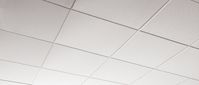 ​MESA SECOND LOOK Tiles | Armstrong Ceiling Solutions – Commercial