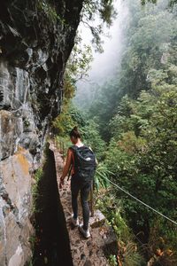 Wandelen op Madeira: dit zijn de 5 mooiste hikes - REISJUNK