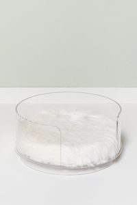 FREE STANDARD SHIPPING For the most glamourous of furry friends, this acrylic round pet bed features a high back design and a foam cushion covered in faux polar bear fur for maximum comfort. The cushion straps securely to the base, so your pet can toss and turn without slipping. Minimal high back design Cushion securel