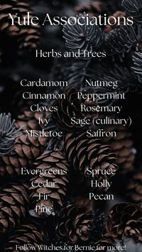 Part of following the pagan celebrations and wheel of the year includes noticing the seasonal associations - are these herbs and trees growing near you? They are likely ripe for (ethical!) harvesting and are great to include on your altar, your yule log, or in spellwork.