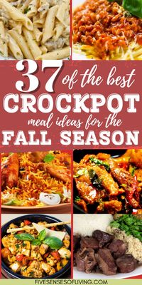 Warm up your autumn evenings with the best Fall Crockpot recipes! These easy Crockpot dinners are perfect for cozy nights and busy days, offering delicious, comforting meals with minimal effort. From hearty stews to savory casseroles, discover the best Crockpot recipes that will become your go-to for easy dinner ideas. Perfect for those who love simple, cooked meals that bring the flavors of the season to lif