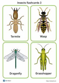 Free PDF pages of insects flashcards forlanguage learning.