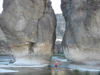 Pillar Falls - Twin Falls (south central), upstream from the Perrine Bridge.