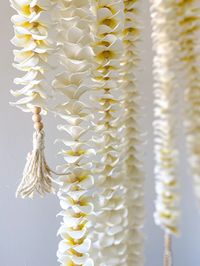 5cm Foam Plumeria Flower Lei Garland with Diffuser Bead  There is something so calming when looking at a strand of flowers Whether you are looking for a home decoration, bridal or baby shower decorations, gifts for loved ones, gift for yourself, need to show your island vacation photos with some pizazz, & so much more!  This plumeria garland can enhance a space and bring peace within. On one end is a natural wooden bead loop to hang the garland.  On the other, is a diffuser bead and tassel.  Use