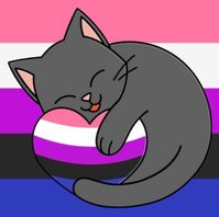 More lgbt+ boards & pins. GO to the main page.
(Learn more open the Genderfluid board and read above)