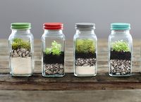 Terrariums are trending big-time, and it’s not hard to see why. Requiring very little work, these self-sufficient planters make a beautiful addition to any tabletop, counter, or windowsill. Almost any glass container will get you started. Add some sand or stones, soil, and plants, and you’re on your way to creating your indoor garden—and conversation starter. Gather inspiration from these 12 unique variations on the tiny indoor garden, and get growing.