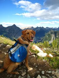 Adventures with Fido: How to Camp with Your Dog. This article and the comments below make some good points.