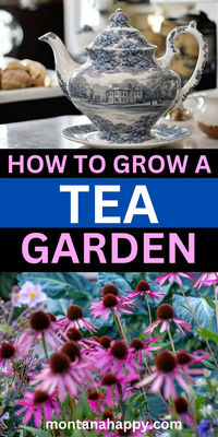 A Tea Garden is the perfect way to indulge in your favorite beverage and have beautiful plants at the same time. This article will help you select the best tea plants to include, recipes for each tea, and ideas for design layout. / garden ideas / garden design / garden layout / gardening ideas / flower garden ideas / backyard ideas / landscaping ideas / small garden layout / backyard landscaping / cheap backyard ideas /