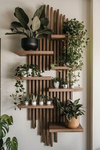 47 Stunning Plant Wall Ideas Indoor - Home Soils