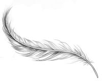 Feather tattoo Más