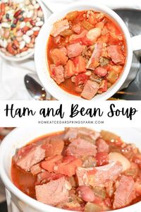 Cozy up with a bowl of Ham and Bean Soup on chilly nights. This recipe combines the rustic charm of ham and beans, creating a comforting hug in a bowl. Easy to make, delightful to savor—warm your evenings with this classic favorite. #WinterComfort #SoupLovers