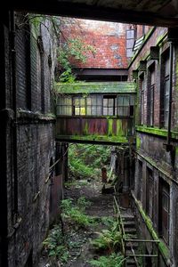 Image du Blog mysterius.centerblog.net I like the green bleeding along the red wood and the complimenting foliage above and below contrasting with the dark brick to the sides.