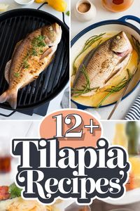 Make your dinner sparkle with these amazing tilapia recipes! From crispy fish tacos to flavorful baked dishes there’s something for everyone. Perfect for busy nights or special occasions these tasty meals will wow your family and friends. Enjoy healthy cooking with tilapia garlic lemon herbs and spices for a delightful meal!